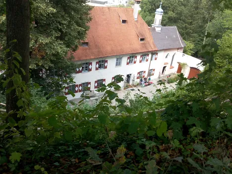 Blaustein 2018