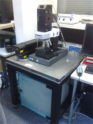 Raman_Analysis_Microplastic