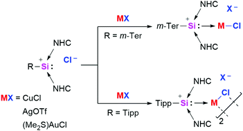 TOC103