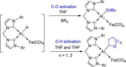 TOC58