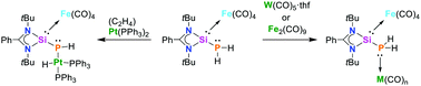 TOC74